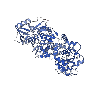 11550_6zy5_B_v1-1
Cryo-EM structure of the Human topoisomerase II alpha DNA-binding/cleavage domain in State 1