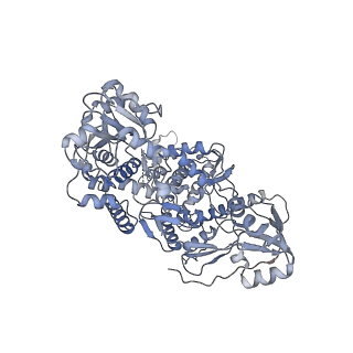 11551_6zy6_A_v1-1
Cryo-EM structure of the Human topoisomerase II alpha DNA-binding/cleavage domain in State 2