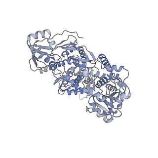 11551_6zy6_B_v1-1
Cryo-EM structure of the Human topoisomerase II alpha DNA-binding/cleavage domain in State 2