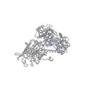 11553_6zy7_A_v1-1
Cryo-EM structure of the entire Human topoisomerase II alpha in State 1