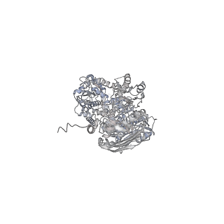 11553_6zy7_B_v1-1
Cryo-EM structure of the entire Human topoisomerase II alpha in State 1