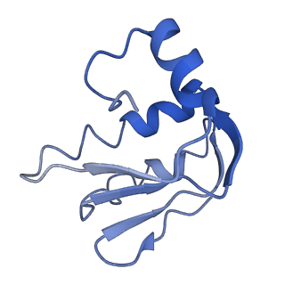 11555_6zy9_B_v1-2
Cryo-EM structure of MlaFEDB in complex with AMP-PNP