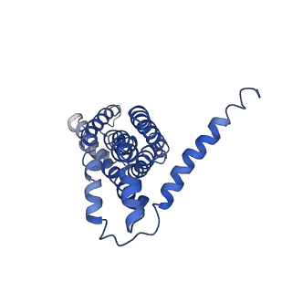 11555_6zy9_E_v1-2
Cryo-EM structure of MlaFEDB in complex with AMP-PNP
