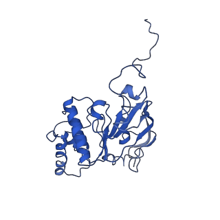 11555_6zy9_F_v1-2
Cryo-EM structure of MlaFEDB in complex with AMP-PNP