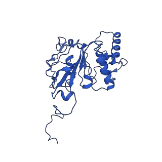 11555_6zy9_G_v1-2
Cryo-EM structure of MlaFEDB in complex with AMP-PNP