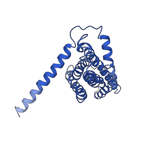 11555_6zy9_H_v1-2
Cryo-EM structure of MlaFEDB in complex with AMP-PNP