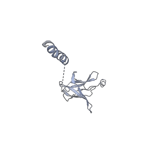 11555_6zy9_K_v1-2
Cryo-EM structure of MlaFEDB in complex with AMP-PNP