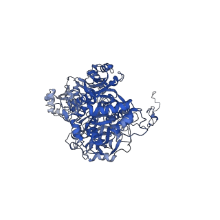 11569_6zym_B_v1-0
Human C Complex Spliceosome - High-resolution CORE