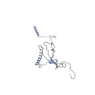 11569_6zym_C_v1-0
Human C Complex Spliceosome - High-resolution CORE