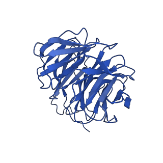 11569_6zym_D_v1-0
Human C Complex Spliceosome - High-resolution CORE