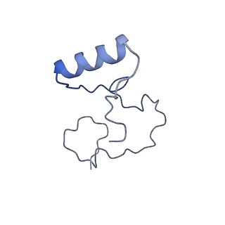 11569_6zym_E_v1-0
Human C Complex Spliceosome - High-resolution CORE