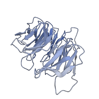 11569_6zym_F_v1-0
Human C Complex Spliceosome - High-resolution CORE