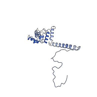 11569_6zym_L_v1-0
Human C Complex Spliceosome - High-resolution CORE