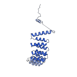 11569_6zym_O_v1-0
Human C Complex Spliceosome - High-resolution CORE