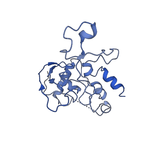 11569_6zym_P_v1-0
Human C Complex Spliceosome - High-resolution CORE