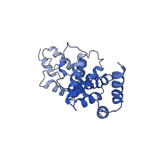 11569_6zym_T_v1-0
Human C Complex Spliceosome - High-resolution CORE