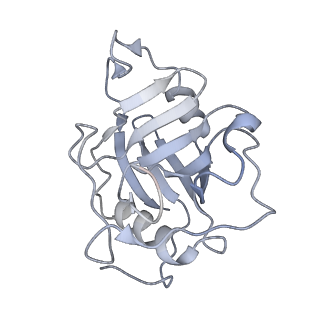 11569_6zym_V_v1-0
Human C Complex Spliceosome - High-resolution CORE