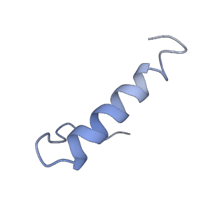 11569_6zym_r_v1-0
Human C Complex Spliceosome - High-resolution CORE