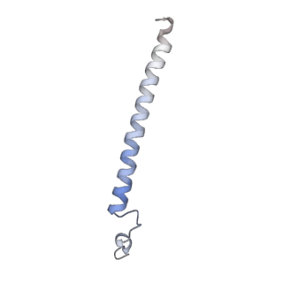 11569_6zym_t_v1-0
Human C Complex Spliceosome - High-resolution CORE