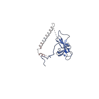 11569_6zym_u_v1-0
Human C Complex Spliceosome - High-resolution CORE