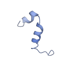 11569_6zym_x_v1-0
Human C Complex Spliceosome - High-resolution CORE