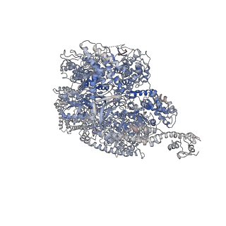 11581_6zyy_C_v1-3
Outer Dynein Arm-Shulin complex - Dyh3 motor region (Tetrahymena thermophila)