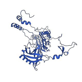 15022_7zyg_A_v1-0
CryoEM structure of Ku heterodimer bound to DNA, PAXX and XLF