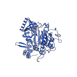 15022_7zyg_B_v1-0
CryoEM structure of Ku heterodimer bound to DNA, PAXX and XLF