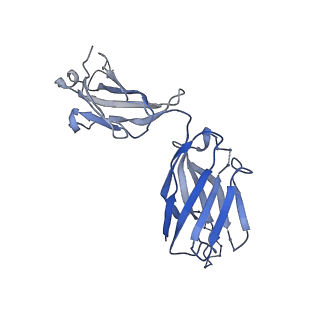 15024_7zyi_H_v1-2
Structure of the human sodium/bile acid cotransporter (NTCP) in complex with Fab and nanobody
