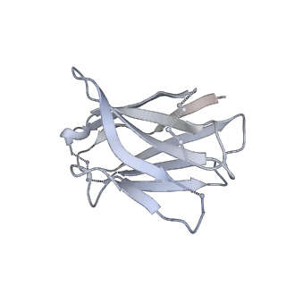 15024_7zyi_K_v1-2
Structure of the human sodium/bile acid cotransporter (NTCP) in complex with Fab and nanobody