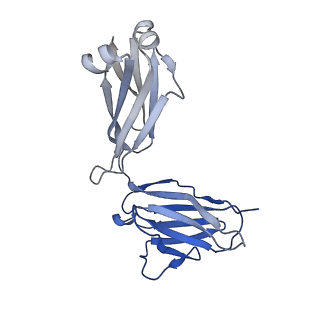 15024_7zyi_L_v1-2
Structure of the human sodium/bile acid cotransporter (NTCP) in complex with Fab and nanobody