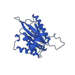 15025_7zyj_A_v1-0
Leishmania tarentolae proteasome 20S subunit in complex with compound 2