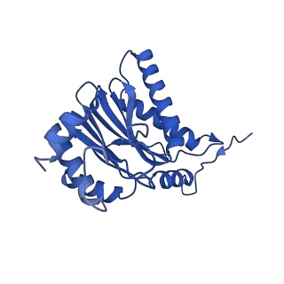 15025_7zyj_B_v1-0
Leishmania tarentolae proteasome 20S subunit in complex with compound 2