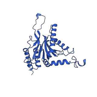 15025_7zyj_C_v1-0
Leishmania tarentolae proteasome 20S subunit in complex with compound 2