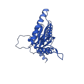 15025_7zyj_D_v1-0
Leishmania tarentolae proteasome 20S subunit in complex with compound 2