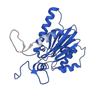 15025_7zyj_E_v1-0
Leishmania tarentolae proteasome 20S subunit in complex with compound 2