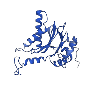 15025_7zyj_F_v1-0
Leishmania tarentolae proteasome 20S subunit in complex with compound 2
