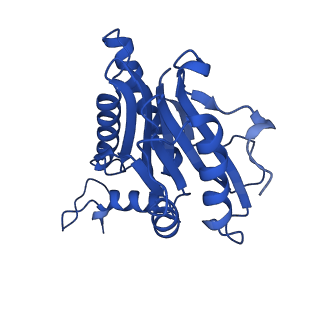 15025_7zyj_G_v1-0
Leishmania tarentolae proteasome 20S subunit in complex with compound 2