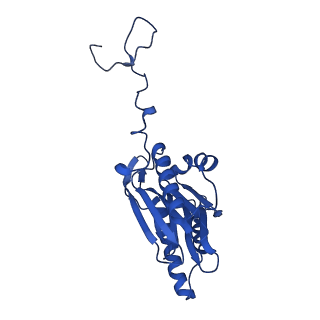 15025_7zyj_H_v1-0
Leishmania tarentolae proteasome 20S subunit in complex with compound 2
