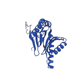 15025_7zyj_I_v1-0
Leishmania tarentolae proteasome 20S subunit in complex with compound 2
