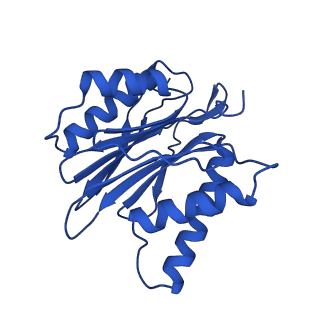 15025_7zyj_J_v1-0
Leishmania tarentolae proteasome 20S subunit in complex with compound 2