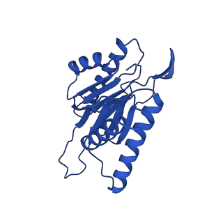 15025_7zyj_K_v1-0
Leishmania tarentolae proteasome 20S subunit in complex with compound 2