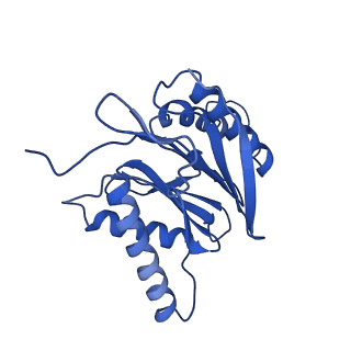 15025_7zyj_M_v1-0
Leishmania tarentolae proteasome 20S subunit in complex with compound 2
