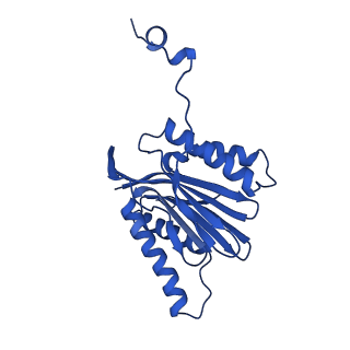 15025_7zyj_N_v1-0
Leishmania tarentolae proteasome 20S subunit in complex with compound 2