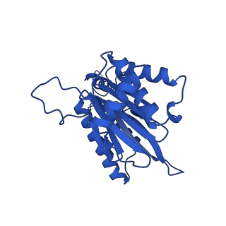 15025_7zyj_a_v1-0
Leishmania tarentolae proteasome 20S subunit in complex with compound 2