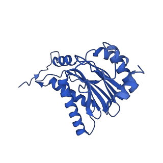 15025_7zyj_b_v1-0
Leishmania tarentolae proteasome 20S subunit in complex with compound 2