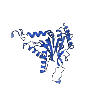 15025_7zyj_c_v1-0
Leishmania tarentolae proteasome 20S subunit in complex with compound 2
