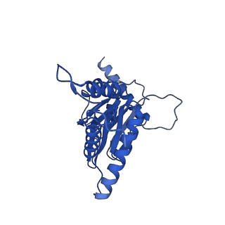 15025_7zyj_d_v1-0
Leishmania tarentolae proteasome 20S subunit in complex with compound 2