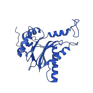 15025_7zyj_f_v1-0
Leishmania tarentolae proteasome 20S subunit in complex with compound 2