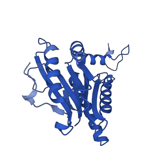 15025_7zyj_g_v1-0
Leishmania tarentolae proteasome 20S subunit in complex with compound 2